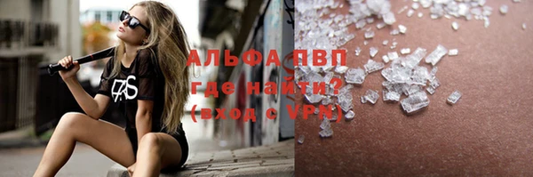 молекула духа Богданович