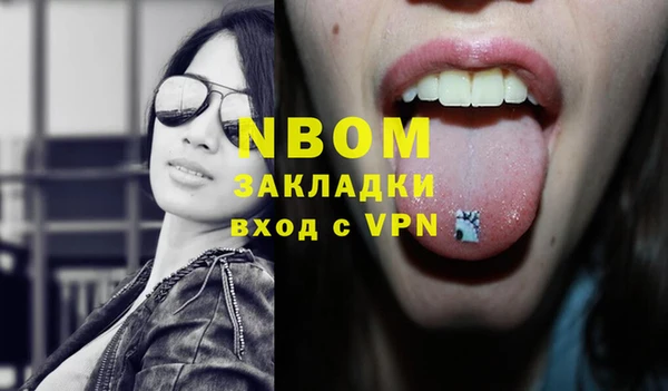 молекула духа Богданович