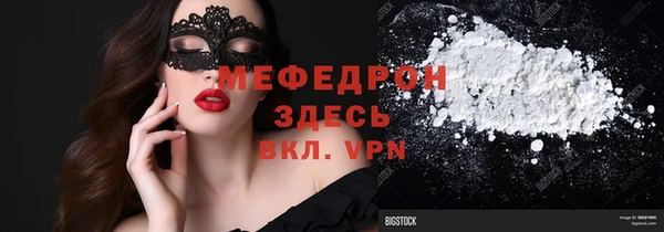 молекула духа Богданович