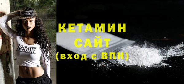 молекула духа Богданович