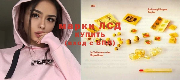 молекула духа Богданович