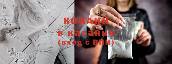 молекула духа Богданович