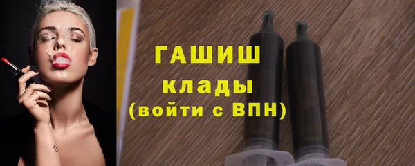 молекула духа Богданович