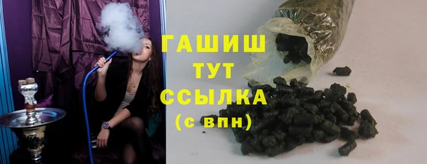 молекула духа Богданович