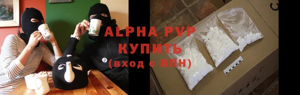 молекула духа Богданович