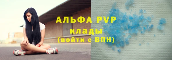 молекула духа Богданович