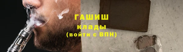 молекула духа Богданович