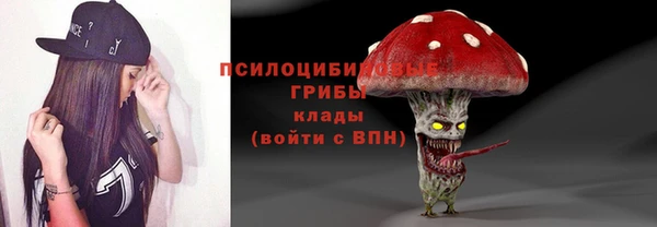 герыч Богородск