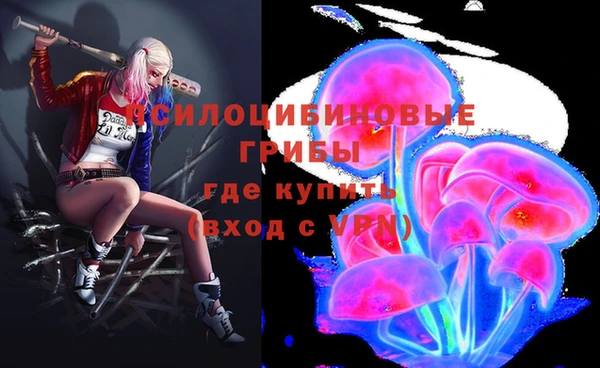 экстази Богородицк