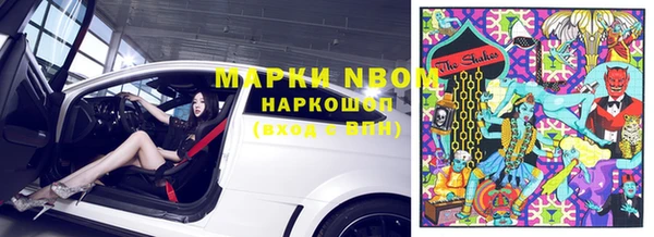 молекула духа Богданович