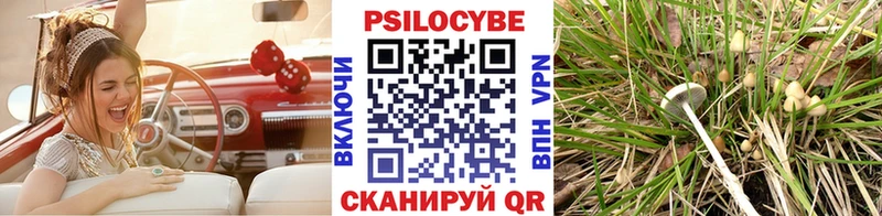 mega зеркало  Красногорск  Галлюциногенные грибы ЛСД 